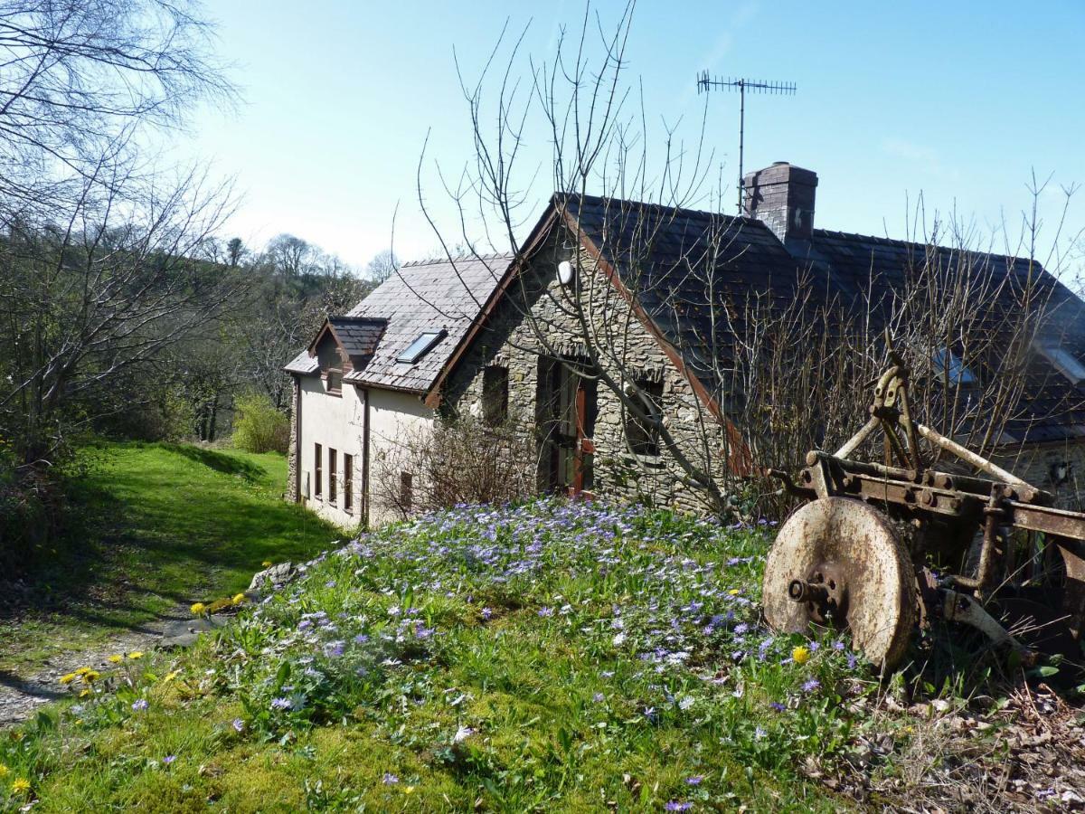 Ceridwen Holiday Homes Llandysul المظهر الخارجي الصورة